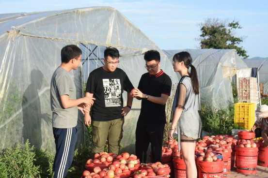 陕西高校“民殷菜富”团队助力齐鲁科技扶贫