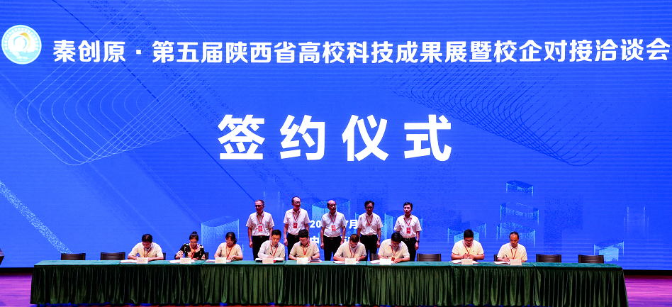 13.png 原来名称也丢了